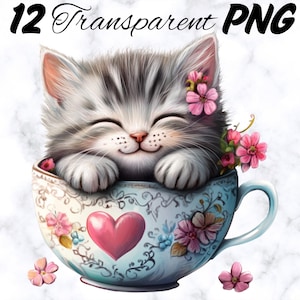 Kittens in Teacups Clipart bundle/12 High Quality Transparent PNG/Cute Adorable Graphics Design/DTF Transfer Small Business POD/Downloadable
