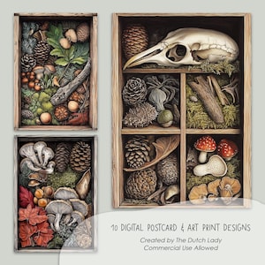 Natures Treasures ansichtkaart en kunstprintset, afdrukbare kaartontwerpen, natuurdoosillustraties, botanisch bos bosvondsten, INSTANT DOWNLOAD