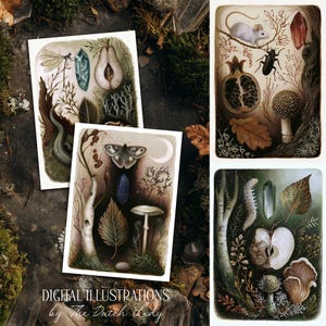 May include: Three rectangular digital illustrations featuring natural elements including a dragonfly, a lizard, a pear, a mouse, a beetle, a pomegranate, a moth, a crescent moon, a birch tree, mushrooms, crystals, and various leaves.