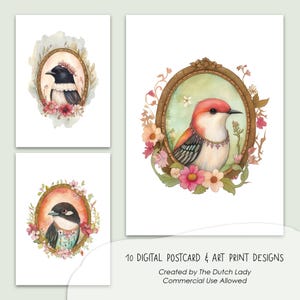 Conjunto de postales e impresiones artísticas con retratos de aves, diseños de tarjetas con acuarela para imprimir, ilustraciones de animales en marcos botánicos ovalados, DESCARGA INSTANTÁNEA