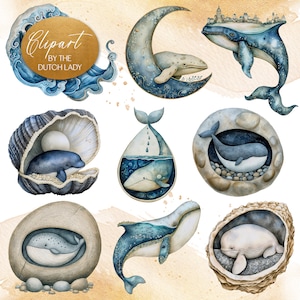 Conjunto de imágenes prediseñadas de ballenas caprichosas - Gráficos encantados de océano y mar - Ballena en luna, guijarro, concha marina - Olas - DESCARGA INSTANTE - 25 archivos PNG