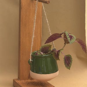 May include: A small, green ceramic hanging planter with a cream-colored base, suspended by twine from a wooden stand. The planter holds a leafy plant with green and purple leaves. The wooden stand is made of light brown wood.