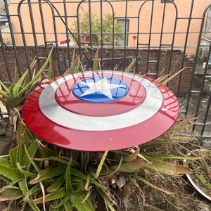 May include: A red, white, and blue Captain America shield with a silver star in the center, resting on top of a green plant.