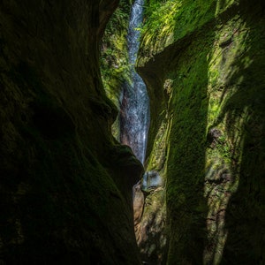 Hidden Falls, Vancouver Island, British Columbia, Canada - Canvas, Aluminum, Acrylic Art photo prints