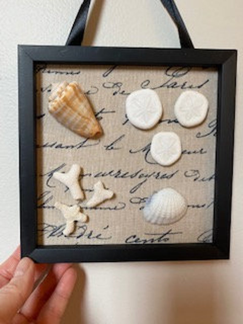 Coastal Wall Art Set of 3 Shell Wall Decor Shell Art Handmade Etsy