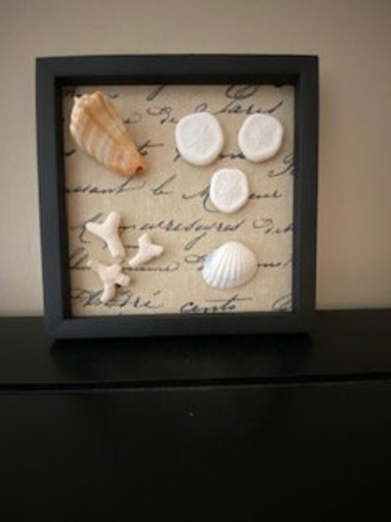 Coastal Wall Art Set of 3 Shell Wall Decor Shell Art Handmade Etsy