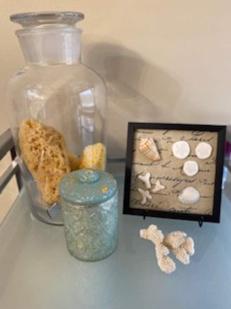 Coastal Wall Art Set of 3 Shell Wall Decor Shell Art Handmade Etsy