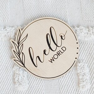 May include: A round wooden sign with the words "hello world" written in cursive script. The sign is decorated with a small leafy branch on the left side.