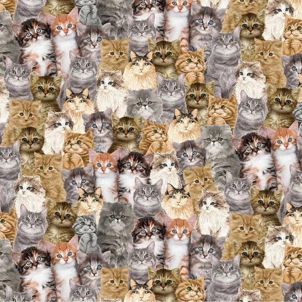 Packed Realistic Cats, CAT-CD2060 NATURAL, Timeless Treasures Quilting 100% Cotton Fabric