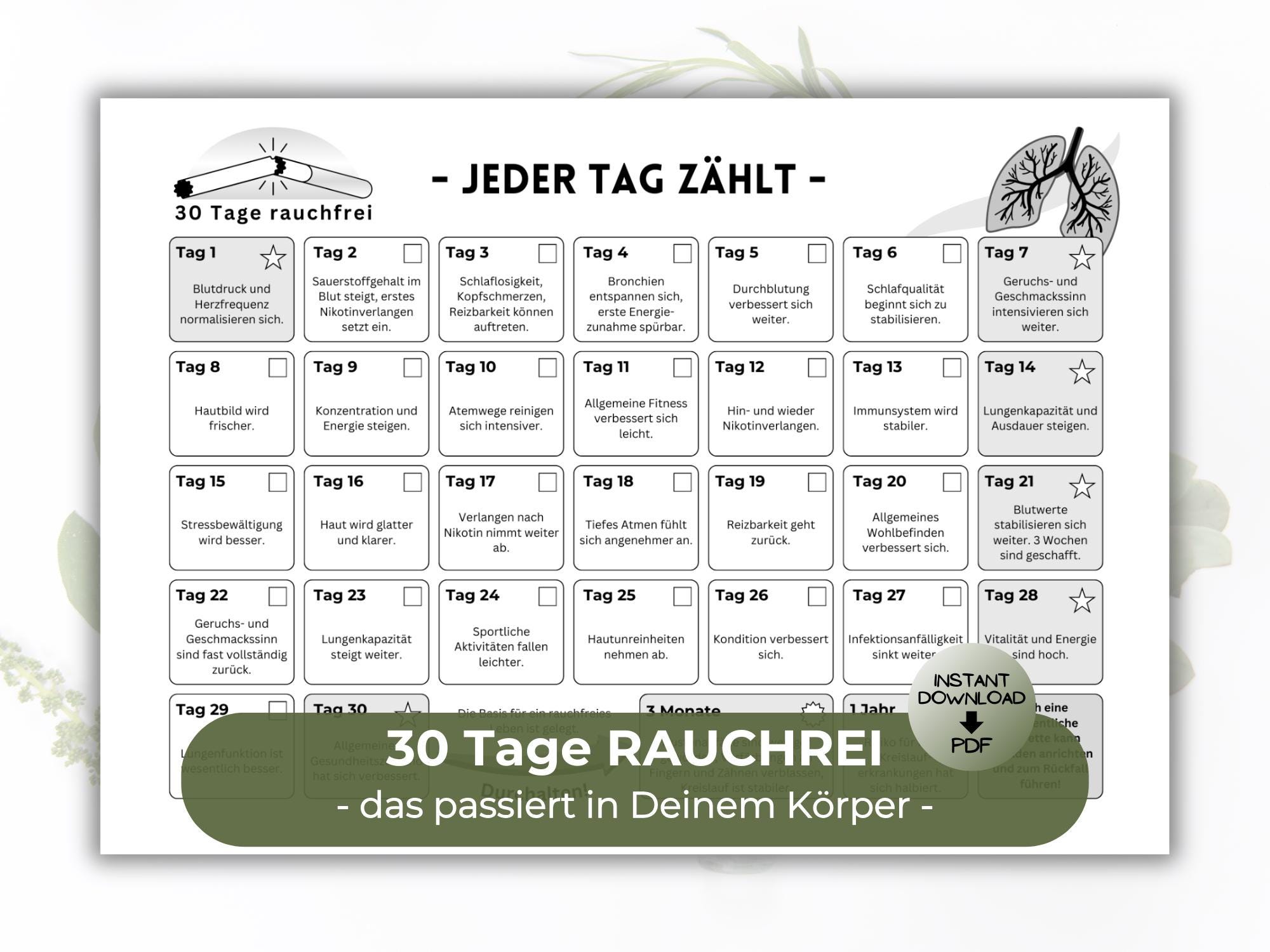 30-Day SMOKE-FREE Challenge, Tracker, Quitting Smoking, Physical/Psychological Effects, Download PDF, Motivation, Nicotine Withdrawal, Quitting Smoking