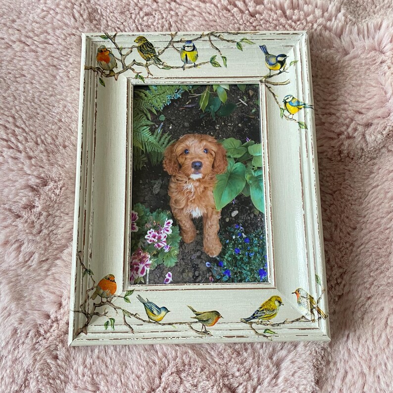 May include: A white picture frame with a distressed finish features a small dog in a garden setting. The frame is decorated with painted birds and branches.