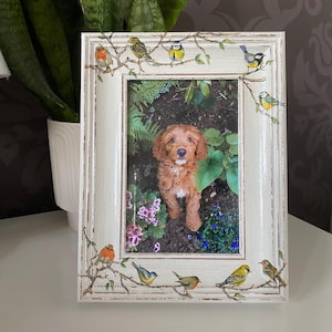 May include: White picture frame with a distressed finish and a floral design. The frame has a photo of a brown dog inside. The frame is decorated with small painted birds.