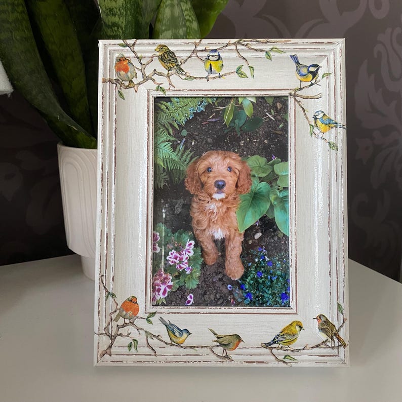 May include: White picture frame with a distressed finish and a floral design. The frame has a photo of a brown dog inside. The frame is decorated with small painted birds.