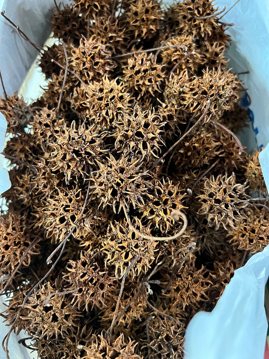 Sweet Gum Tree Balls / Seed Pods / Sweet Gum Balls / Natural Etsy