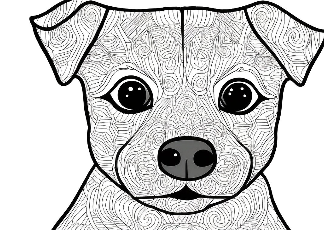 Coloring Pages, Coloring Sheets, Printable, Digital Download, Coloring