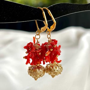 May include: Gold earrings with red coral and gold accents. The coral is clustered together and hangs from the gold hoops.