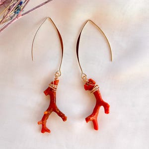May include: A pair of drop earrings featuring natural red coral branches suspended from gold-toned V-shaped ear wires. Each coral piece is securely attached to the metal wire with thin gold-toned wire wrapping, creating a delicate and organic look.
