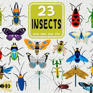 Insekt SVG-paket: Vektor Clipart (PNG, PDF)