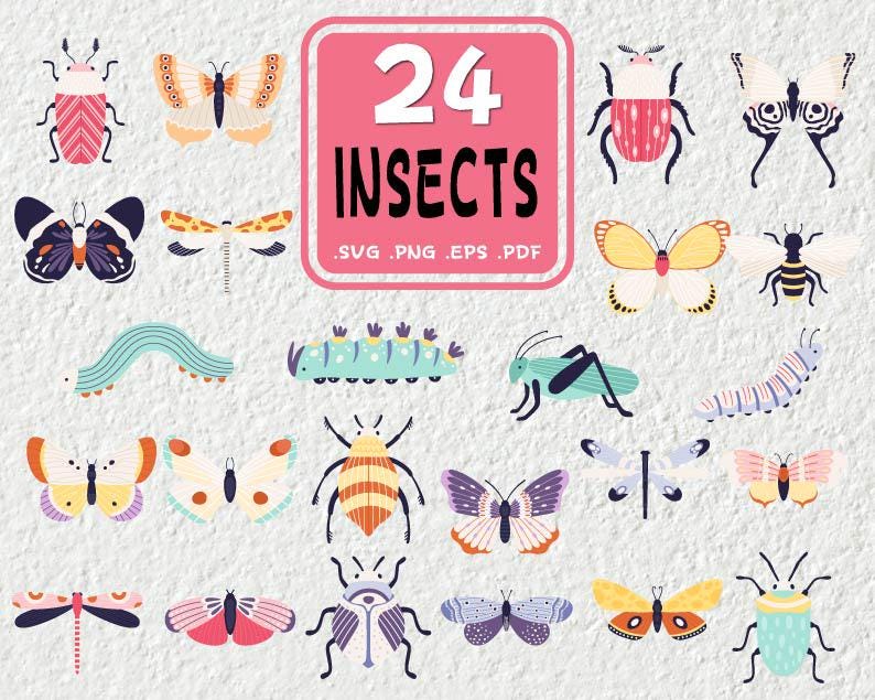 Insect Vector Clipart, SVG, PNG, PDF, Cut Files - Etsy