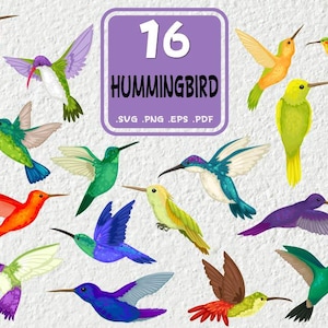 Hummingbird SVG Bundle, Humming bird svg,bird svg, Hummingbird png, Hummingbird eps,Hummingbird vector,Hummingbird,print file,svg file,svg