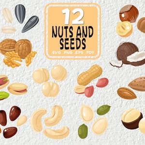 Nuts svg Bundle, Nut svg, Nuts Eps, walnut svg, Peanut Svg, almond Svg, Nuts and Seeds Svg, Seed svg, Nuts Clipart,Nuts Vector