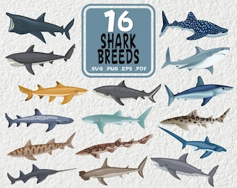 May include: A digital illustration of 16 different shark breeds, including a hammerhead, a thresher shark, a tiger shark, and a great white shark. The illustration is set against a white background with a blue box in the center that reads "16 Shark Breeds .SVG .PNG .EPS .PDF".