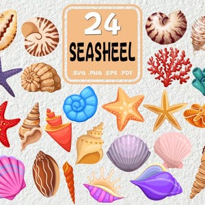 Seashell SVG Bundle, Seashell Cricut, Seashell Cut Files, Seashell Silhouette, Digital download, Sea shells Svg, Sea shell Cricut, Beach Svg