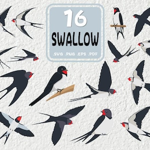Pode incluir: Um conjunto de 16 ilustrações digitais de andorinhas em várias poses. As ilustrações são em estilo de desenho animado e apresentam cores preto, branco e vermelho. O texto "16 SWALLOW" é exibido em uma caixa azul com as palavras "SVG, PNG, EPS, PDF" abaixo.
