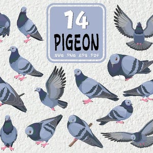 Pigeon Svg Bundle, Dove SVg Bundle, Pigeon Clipart, Pigeon Vector, Cartoon Pigeon Svg, Dove Svg, Pigeon Svg, Pigeon Vector File Svg