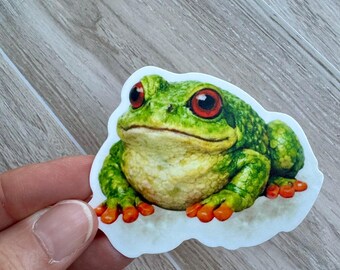 Frog Sticker | Journal Sticker | Laptop | Water bottle | Waterproof Vinyl 3" | Colorful Toad