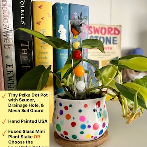 May include: A white ceramic pot with colorful polka dots, a small green plant, and a fused glass plant stake with a bird design. The pot has a drainage hole and a saucer. The stake is hand-painted in the USA.