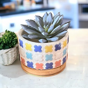 May include: A white ceramic planter with a colorful geometric pattern featuring blue, yellow, pink, and green flower shapes. The planter is filled with a gray succulent plant.