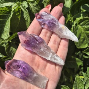May include: Three raw amethyst crystals, each with a gradient of purple to clear, are held in a hand. The crystals are elongated and pointed, with a natural, rough texture. The background features green foliage.
