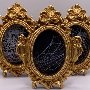 Actual real preserved spiders web caught in a oval gold picture frame - real spiders web art 13cm tall frame
