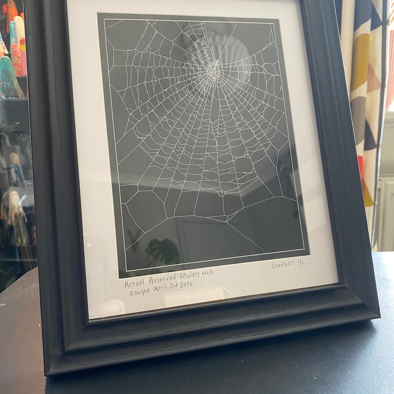 Framed Spider Web - Etsy