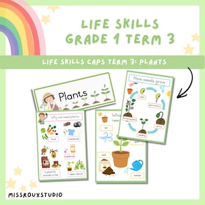 Paquete de plantas para habilidades de vida de 1.er grado / Recurso de aprendizaje CAPS del 3.er trimestre (Descarga en PDF)