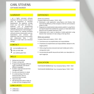 Software Developer CV Template Modern Template in Word-Minimalist Resume Sample-Professional CV Template All in One-Easy to Customize Resume