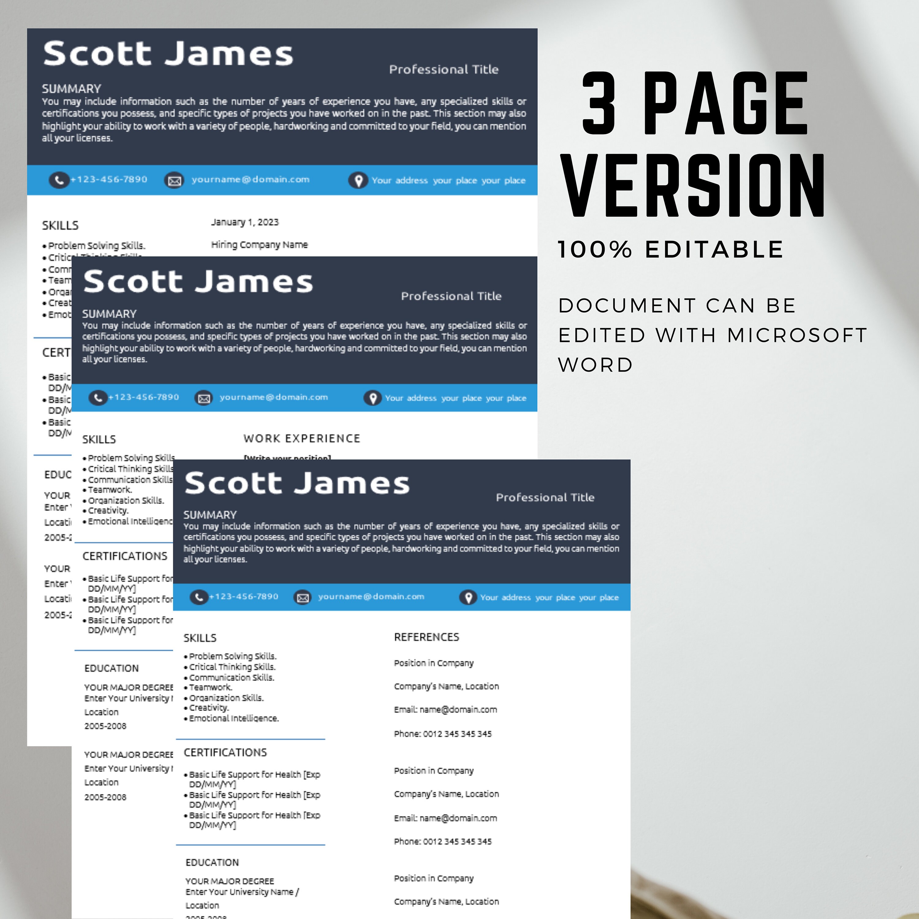 Minimalist CV Template Modern Template in Word Creative Resume Sample