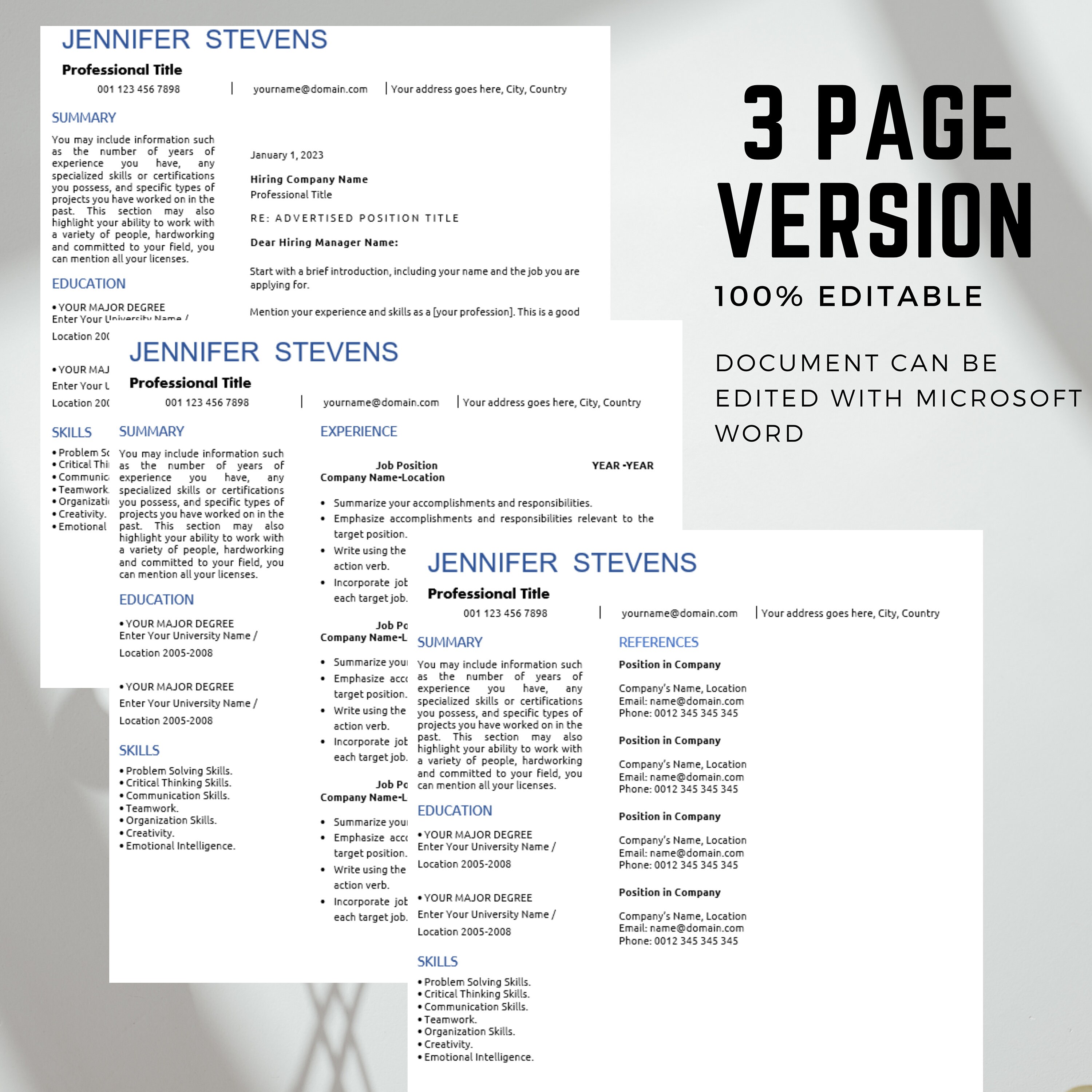 Professional CV Template in Word Creative Resume Sample,modern CV ...