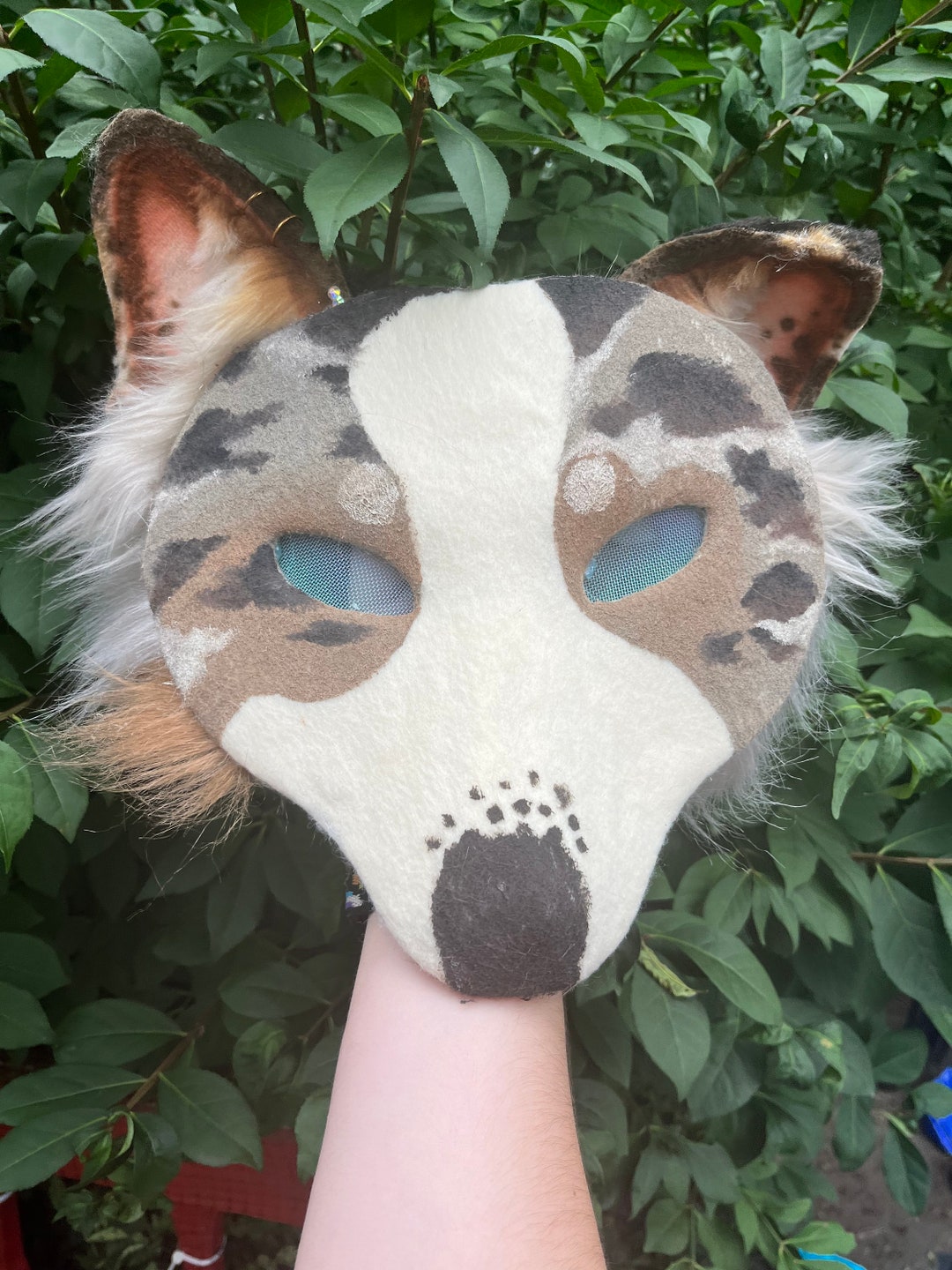 Red Merle Australian Shepherd Mask Etsy