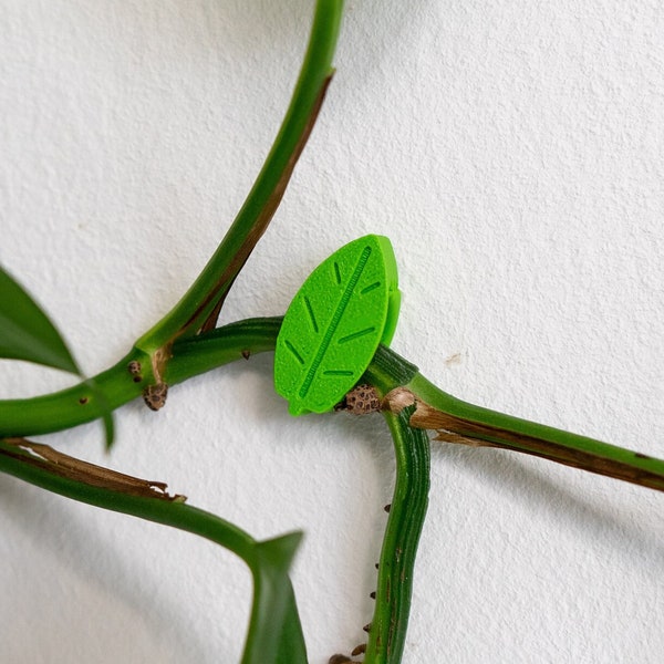 5 Pflanzenclips Rankhilfe für Zimmerpflanzen und Terrarien