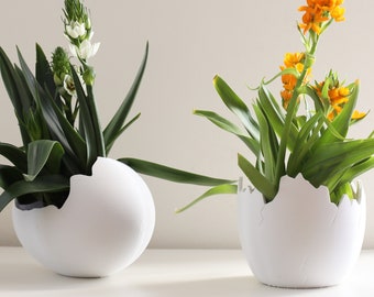 Eierplanter Bloempot | 3D geprint