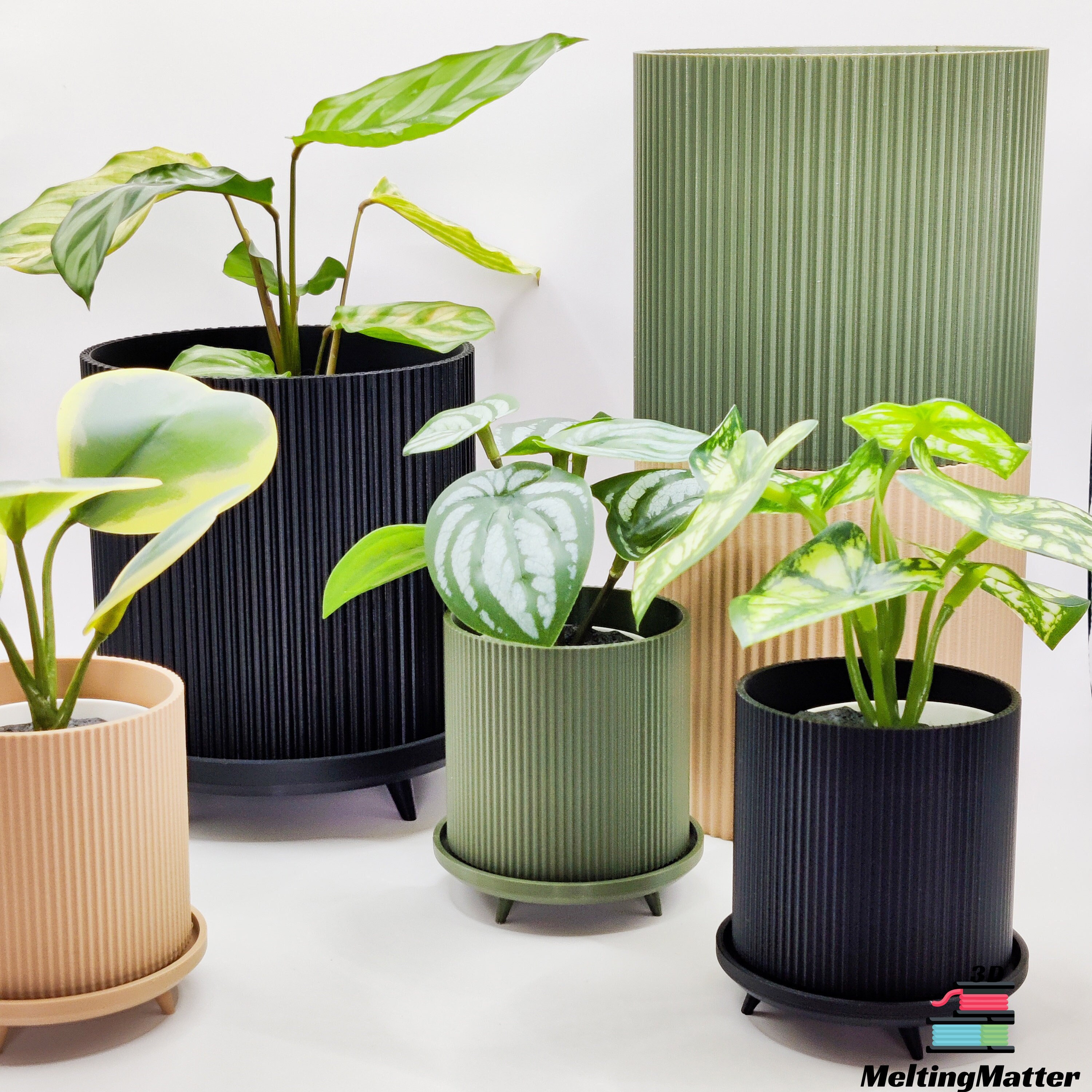 Large pots for monstera - Etsy.de