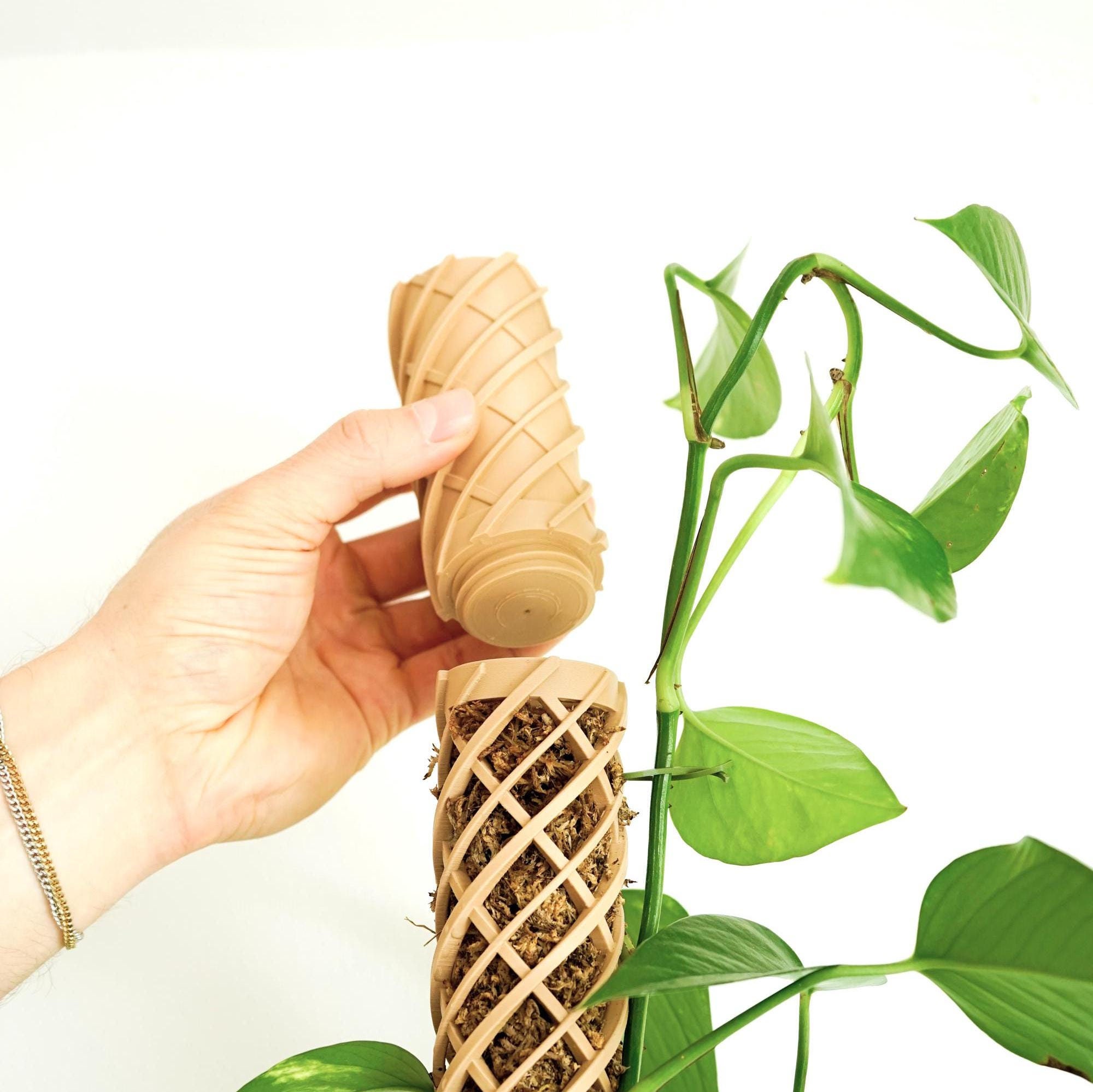 Watering aid for Helix Designer moss stick - precise watering without spilling - climbing aid trellis stick in beige black white