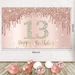 13th Birthday Backdrop and Balloon Garland Arch Decorations Rose Gold ...
