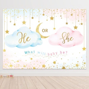 May include: A gender reveal party backdrop with a blue and pink cloud design. The clouds have the words "He" and "She" written on them. The backdrop also features gold stars and a crescent moon with the word "OR" written on it. The text "What will baby be?" is written below the clouds.