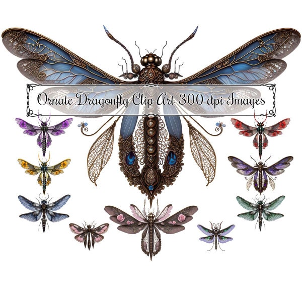 Dragonfly Clip Art, Ornate Dragonflies and Butterflies Instant Download 300ppi PNG Images