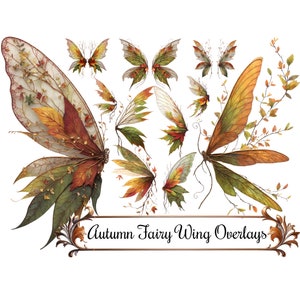 Ailes de fée automne clipart, superpositions d'ailes fantastiques, téléchargement immédiat d'art numérique 300 DPI Images PNG, vert olive, orange, rouge feuilles d'automne