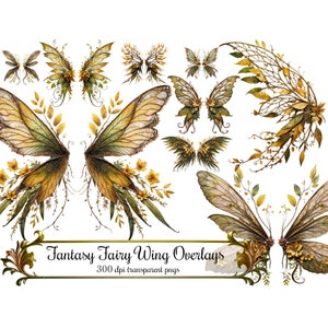 Ailes de fée des bois Clip Art, superpositions d'ailes fantastiques, téléchargement immédiat d'art numérique 300 DPI Images PNG, feuilles d'automne vert olive et jaune