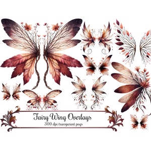 Superpositions d'ailes de fée, lunatique bois Boho pêche et Bourgogne Clip Art, licence commerciale PNG téléchargement numérique 300 DPI Images PNG